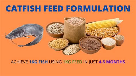 Types of Fish Feed and Best Feeding Methods .